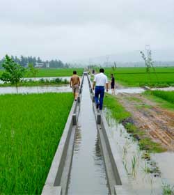 農業綜合開發渭水中低產田改造項目