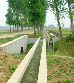 襄陽區農業開發辦公室朱集鎮中低產田改造項目