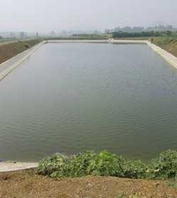 襄陽市直農(nóng)場畜牧良種場高標(biāo)準(zhǔn)農(nóng)田建設(shè)項(xiàng)目