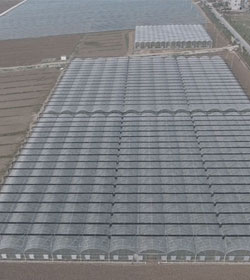 襄州區(qū)雙溝現(xiàn)代農(nóng)業(yè)示范區(qū)高標準農(nóng)田建設(shè)項目