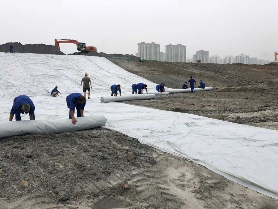 1552272774882581.jpg IMG_7272.jpg