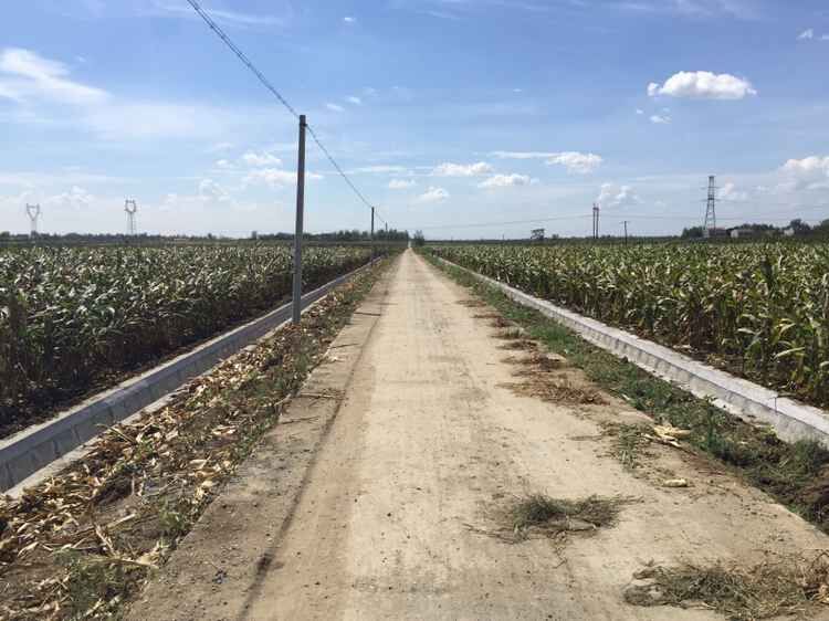 襄陽市襄州區新增千億斤糧食生產能力規劃田間工程